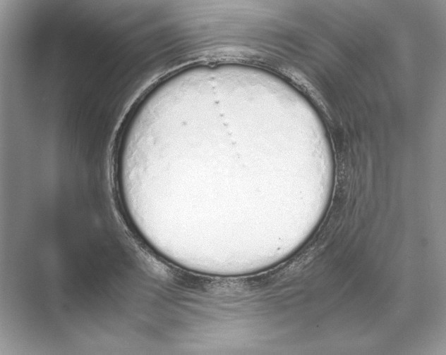 X0000074331083200609230046