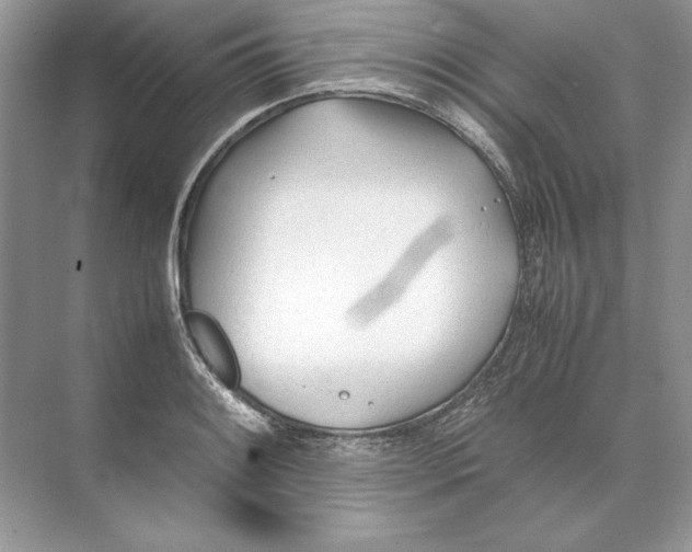 X0000074331084200609230046