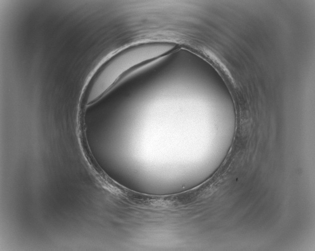 X0000074331085200609230046