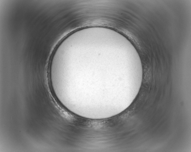 X0000074331086200609230046