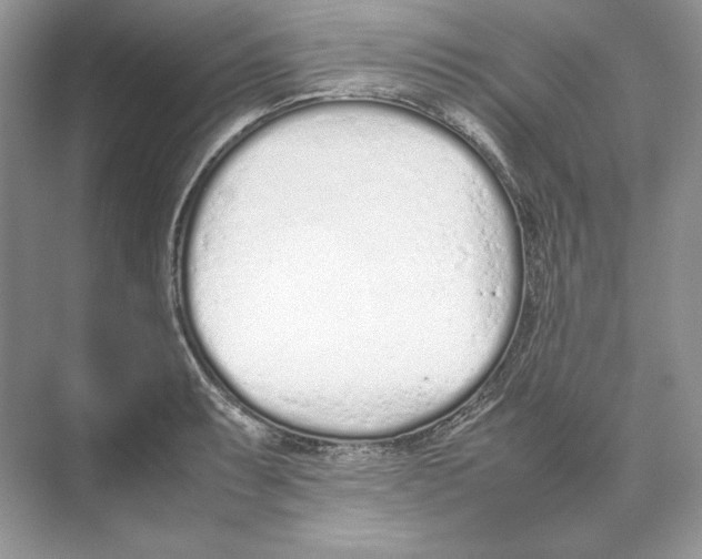 X0000074331087200609230046