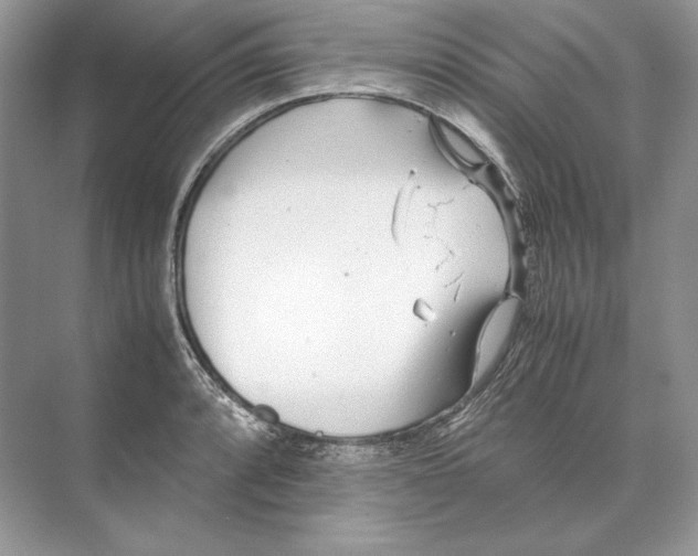 X0000074331088200609230046