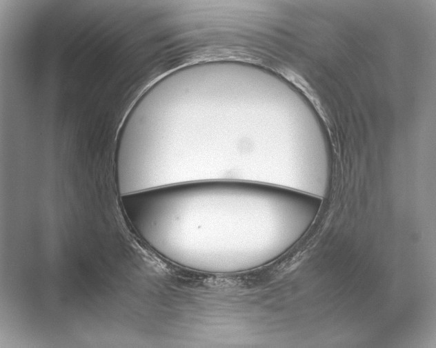 X0000074331089200609230046