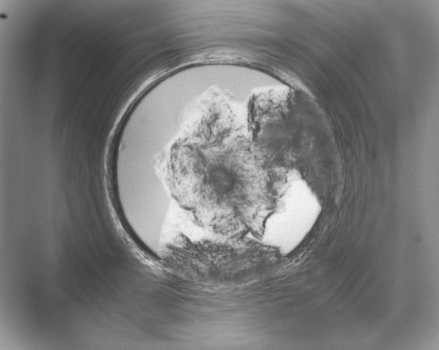 X0000074331091200609230046