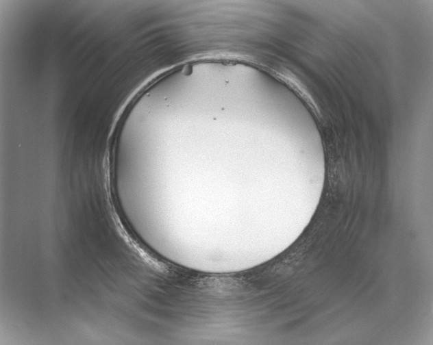 X0000074331092200609230046