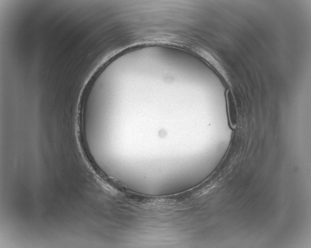 X0000074331093200609230046