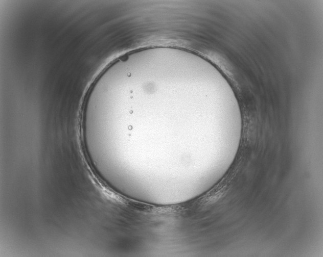 X0000074331094200609230046