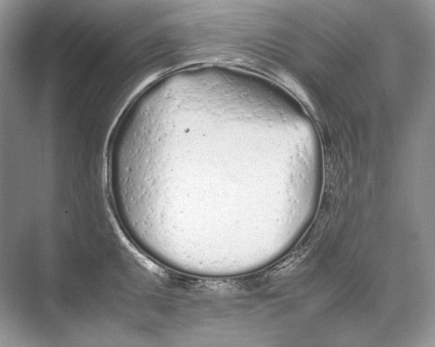 X0000074331095200609230046