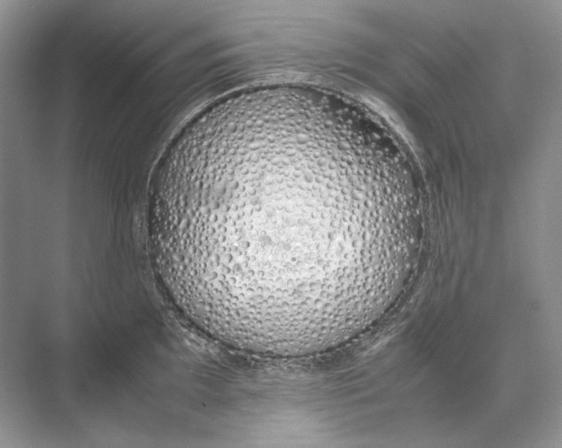 X0000074331097200609230046