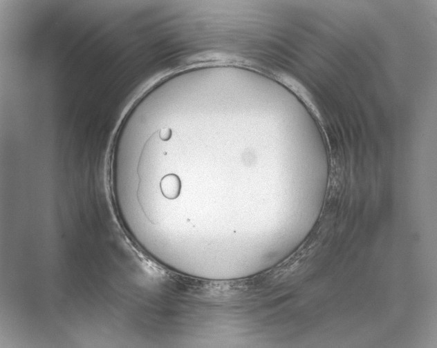 X0000074331098200609230046