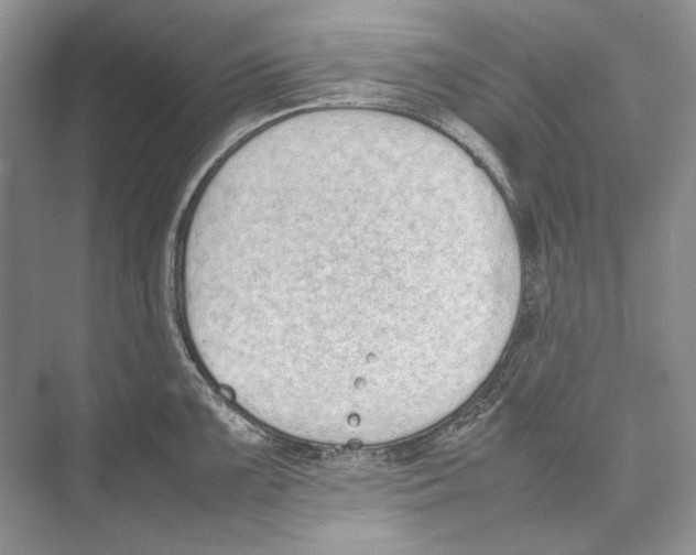 X0000074331099200609230046