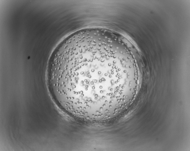 X0000074331101200609230046