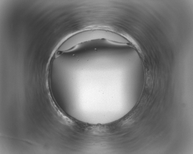 X0000074331102200609230046