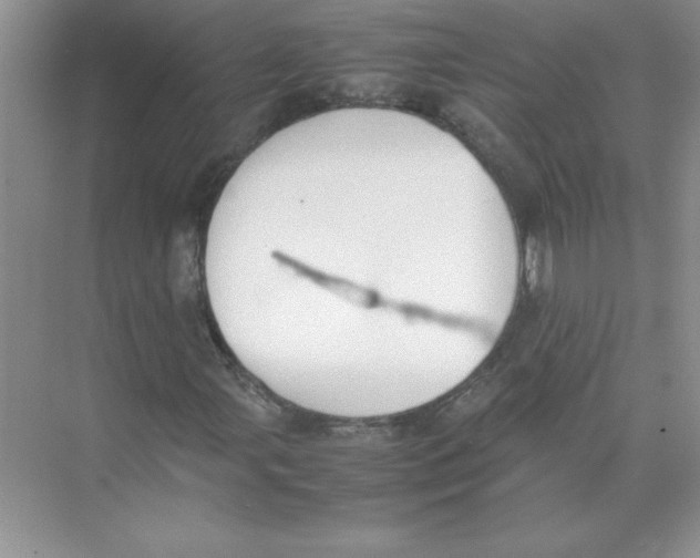 X0000074331107200609230045