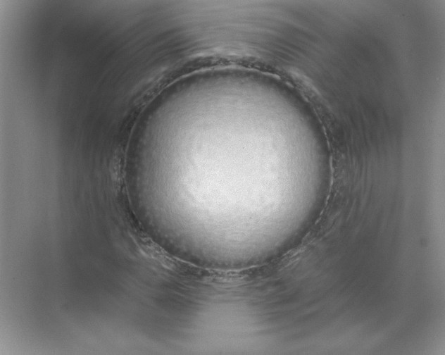 X0000074331110200609230045