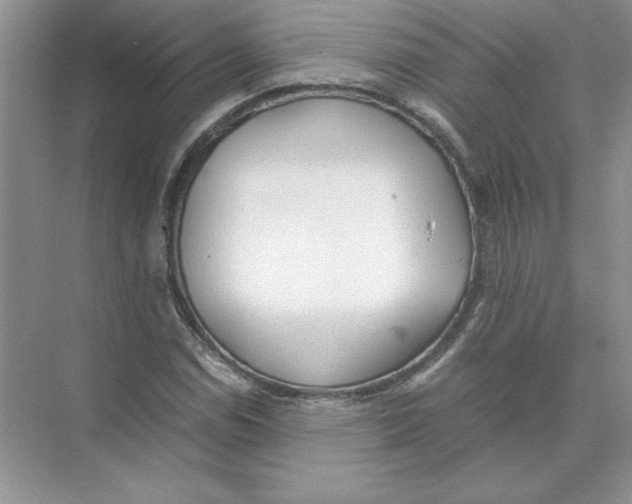 X0000074331114200609230045