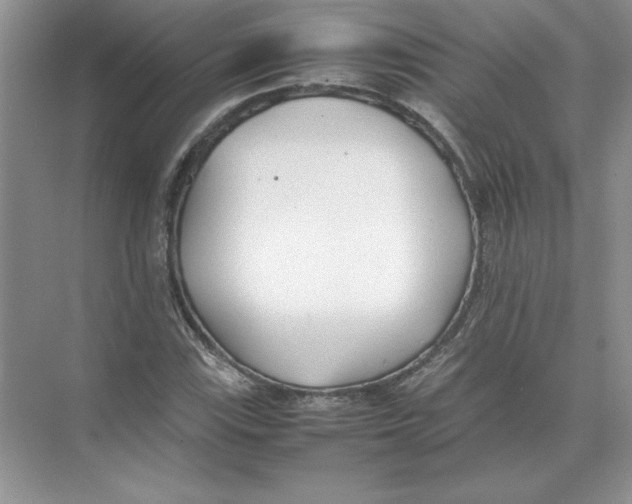 X0000074331115200609230045