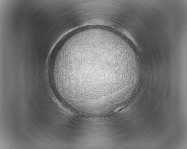 X0000074331116200609230045