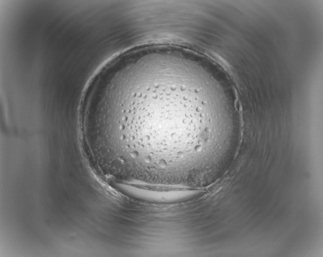 X0000074331120200609230045