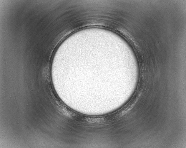 X0000074331121200609230045