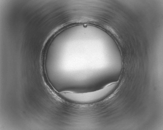 X0000074331122200609230045