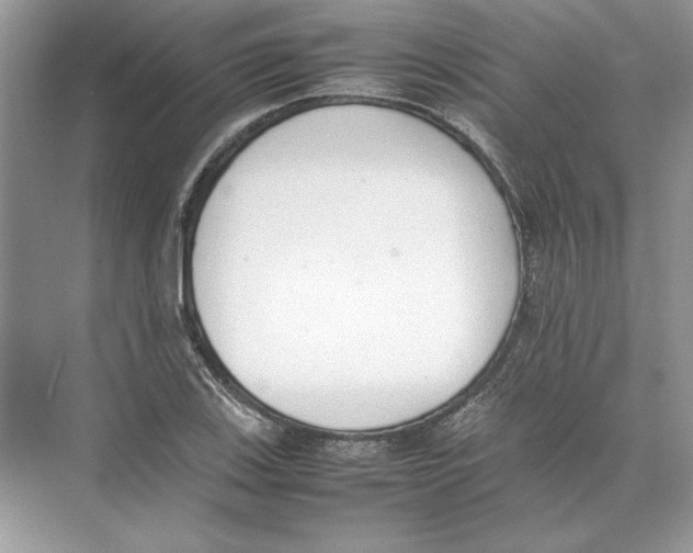 X0000074331123200609230045