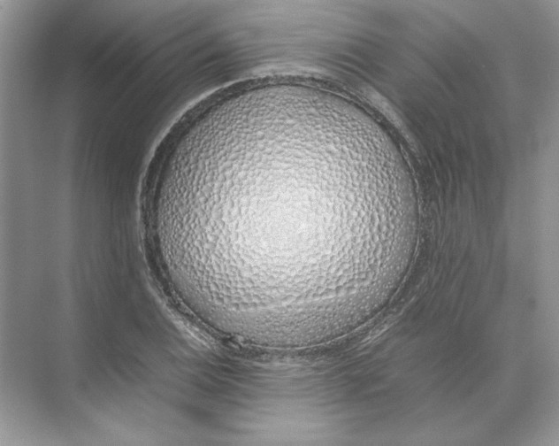 X0000074331124200609230045