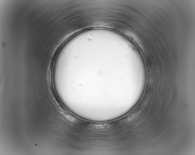 X0000074331125200609230045