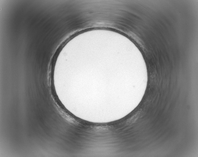 X0000074331126200609230045