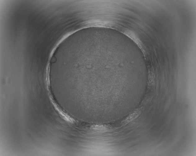 X0000074331128200609230045