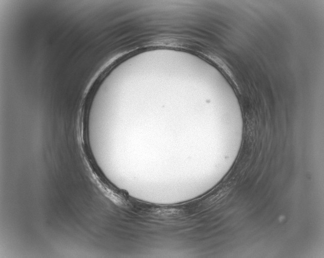 X0000074331131200609230045