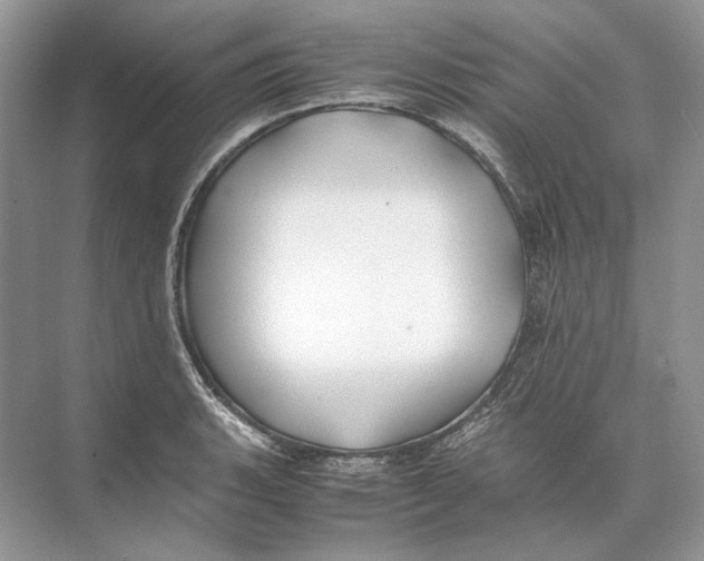 X0000074331135200609230045