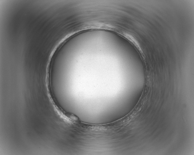 X0000074331136200609230045