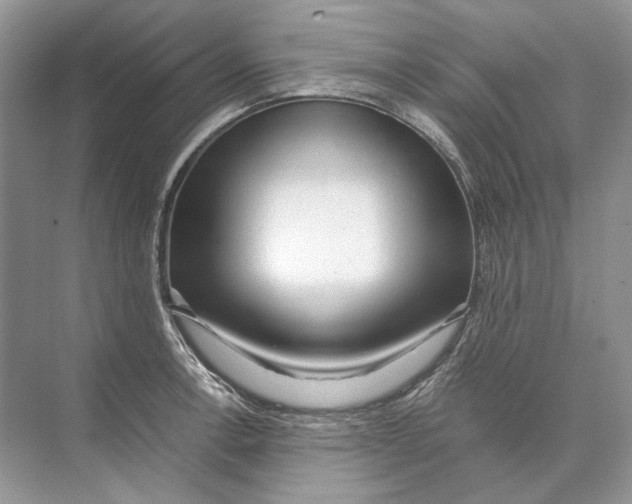 X0000074331138200609230045