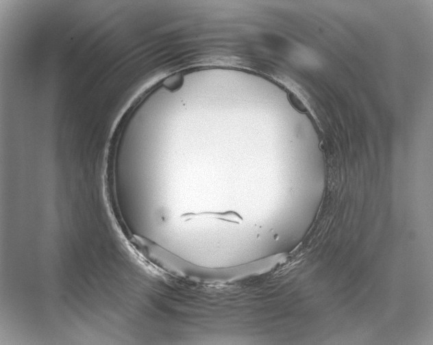 X0000074331139200609230045