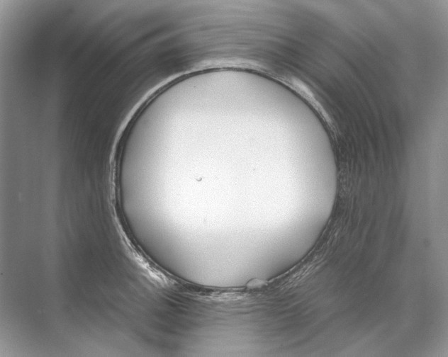 X0000074331140200609230045