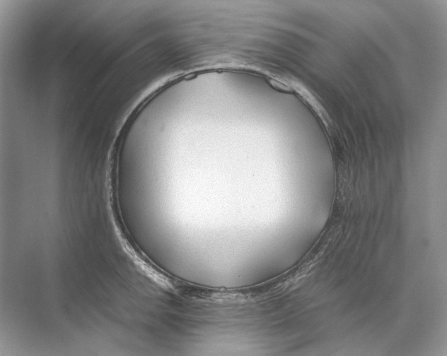 X0000074331142200609230045