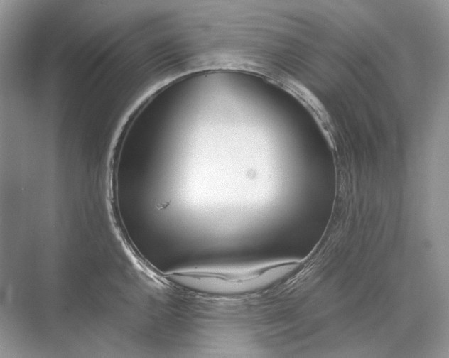 X0000074331144200609230046