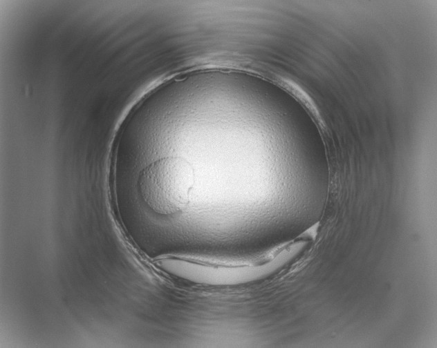 X0000074331146200609230046