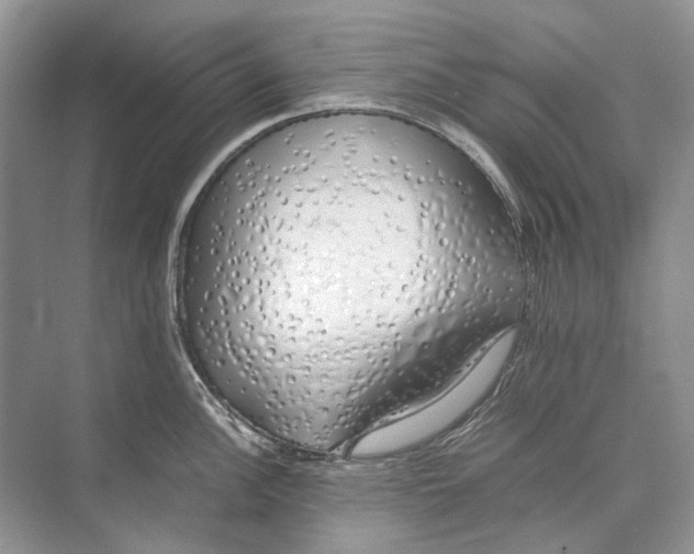 X0000074331148200609230046