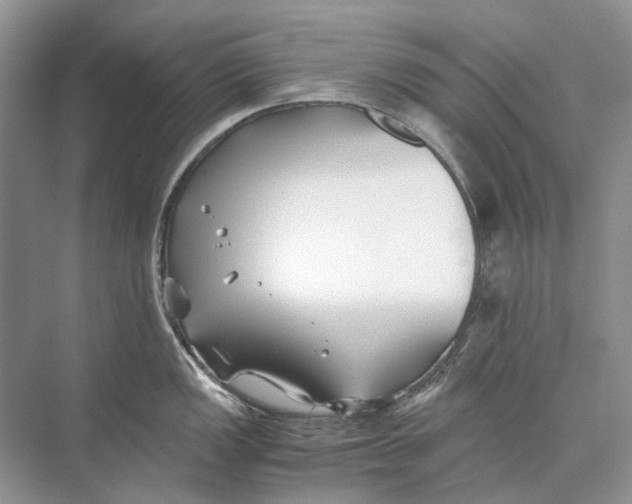 X0000074331149200609230046