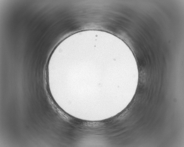 X0000074331150200609230046