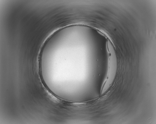 X0000074331151200609230046