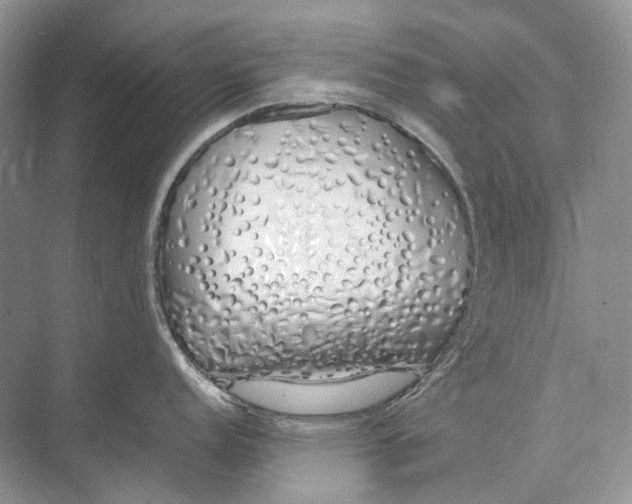 X0000074331152200609230046