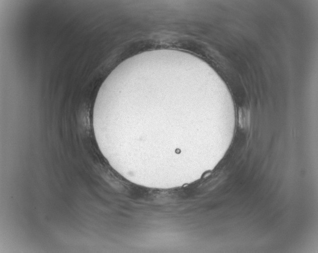 X0000074331155200609230045