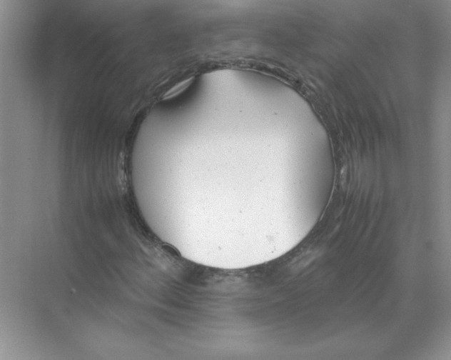 X0000074331156200609230045