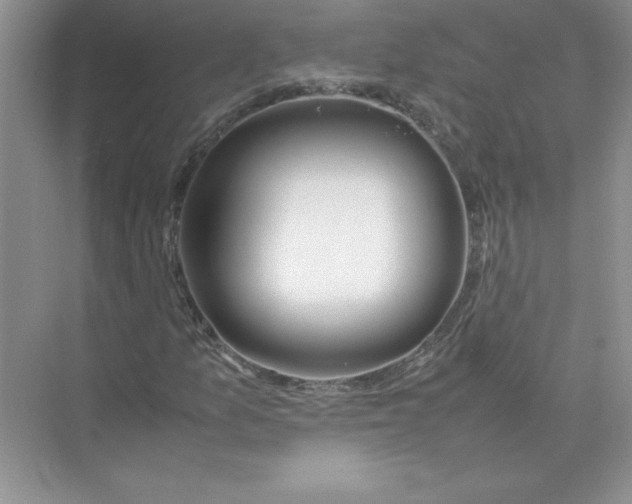 X0000074331157200609230045