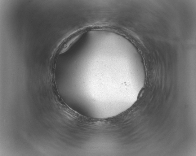 X0000074331160200609230045