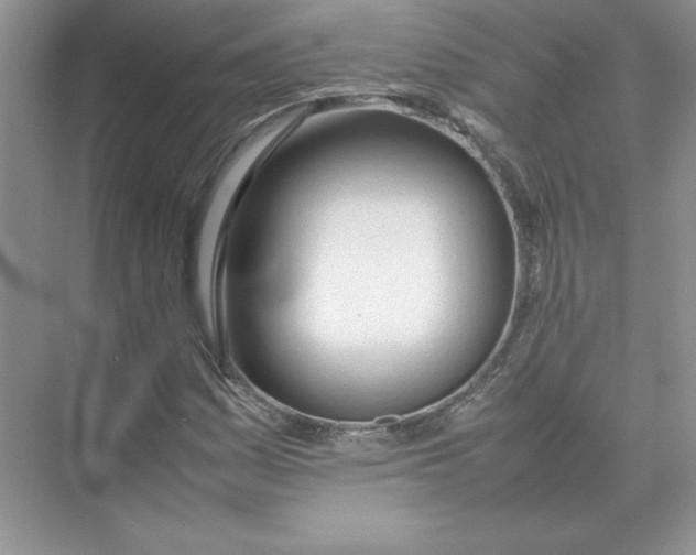 X0000074331161200609230045