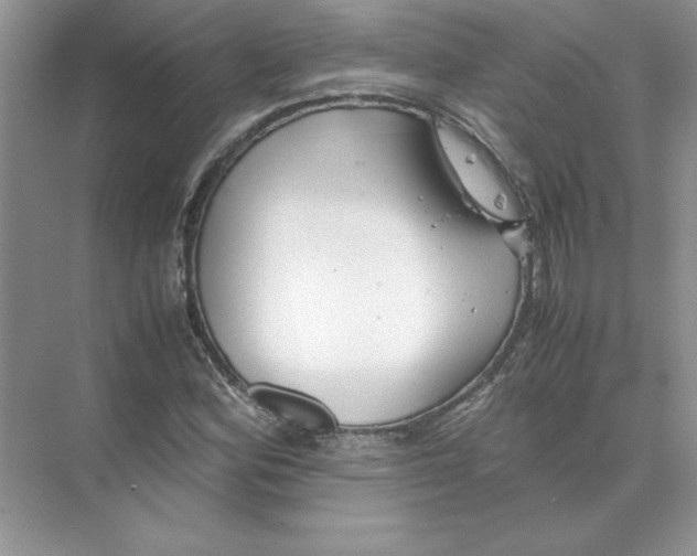 X0000074331164200609230045